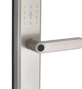 Smart Lock 3031 Zinc Alloy  Unlocking Methods: TUYA WiFi, Password, Card, Fingerprint, Key Suitable for door thickness of 35-55mm